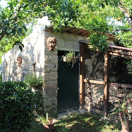 Residenza Caserta Sud - Appartamento Con Giardino Dış mekan fotoğraf