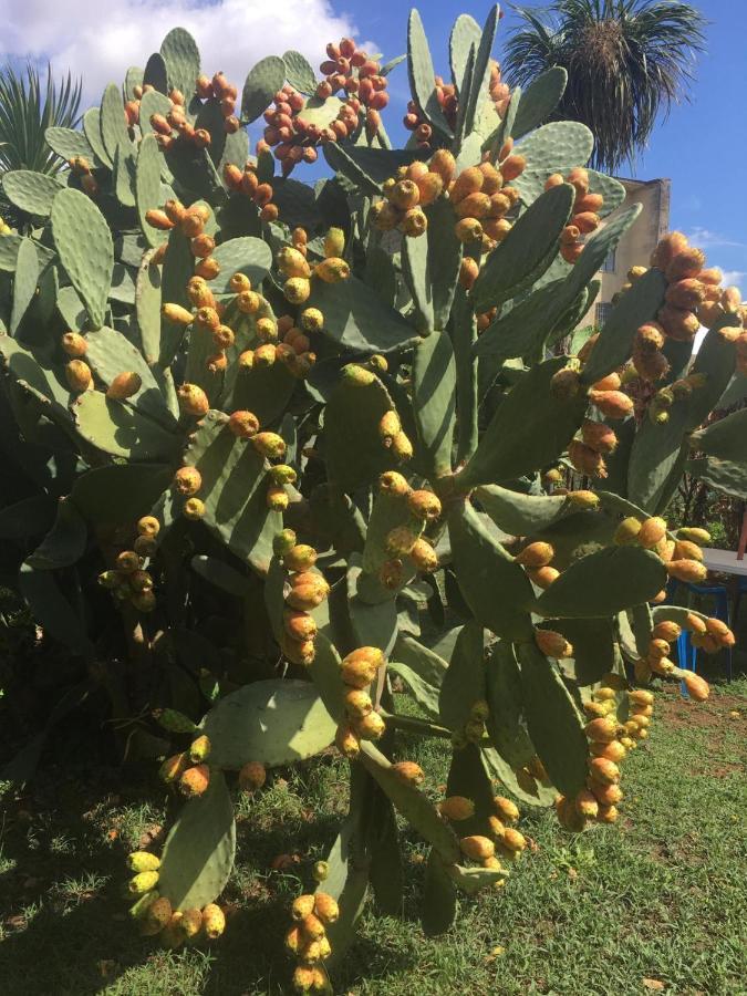 Residenza Caserta Sud - Appartamento Con Giardino Dış mekan fotoğraf