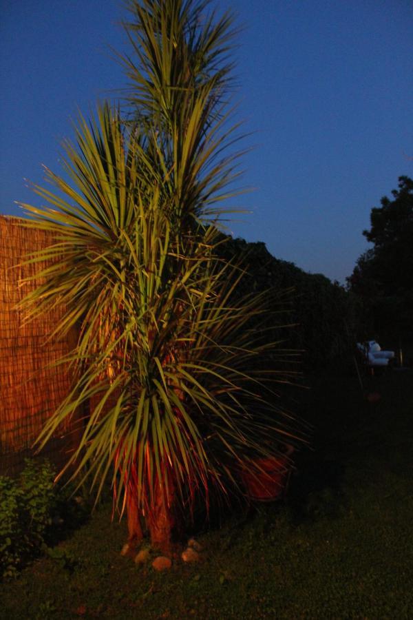 Residenza Caserta Sud - Appartamento Con Giardino Dış mekan fotoğraf