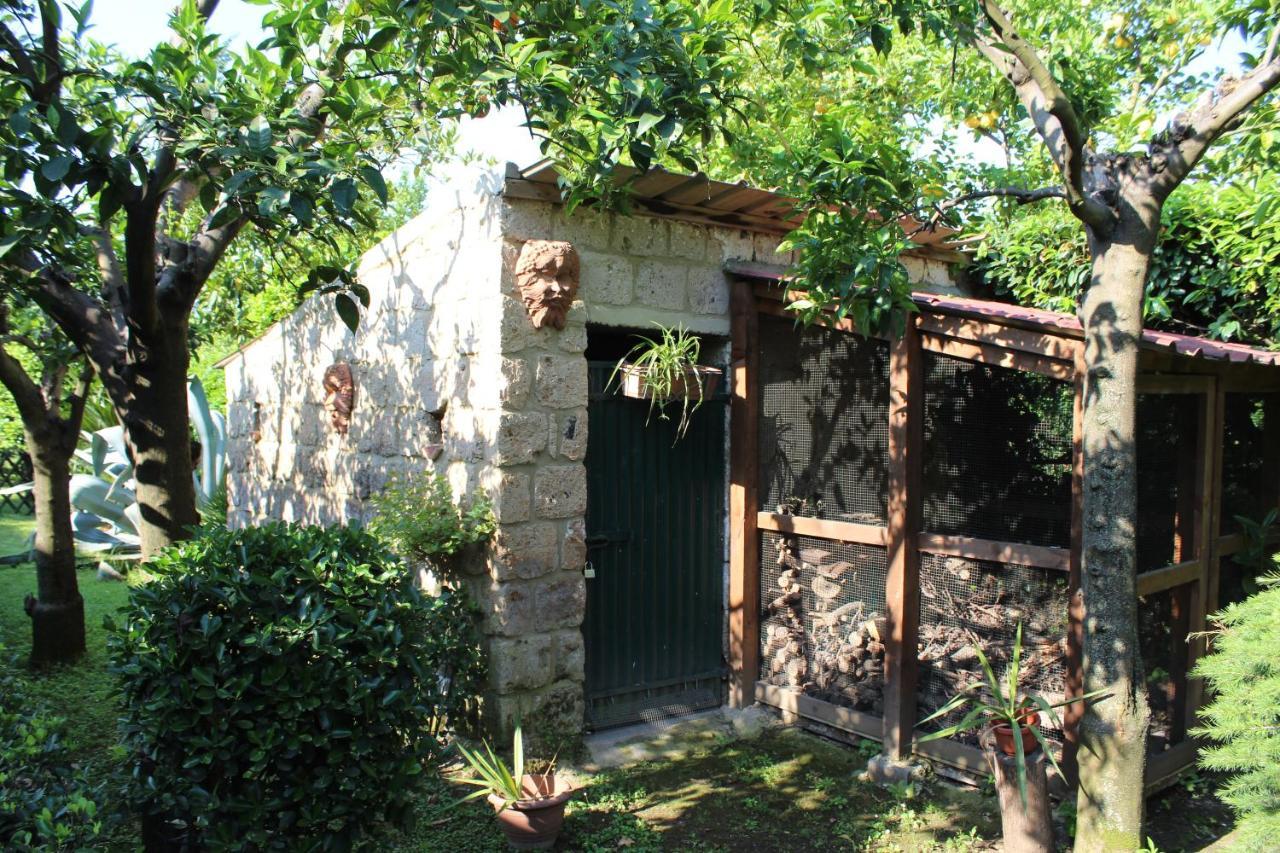 Residenza Caserta Sud - Appartamento Con Giardino Dış mekan fotoğraf