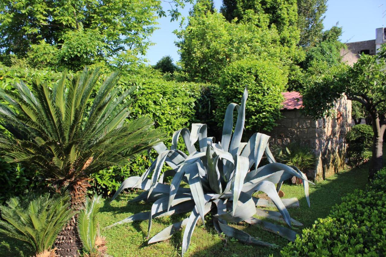 Residenza Caserta Sud - Appartamento Con Giardino Dış mekan fotoğraf