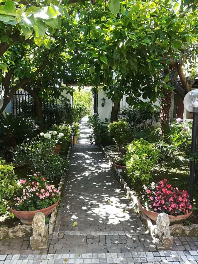 Residenza Caserta Sud - Appartamento Con Giardino Dış mekan fotoğraf